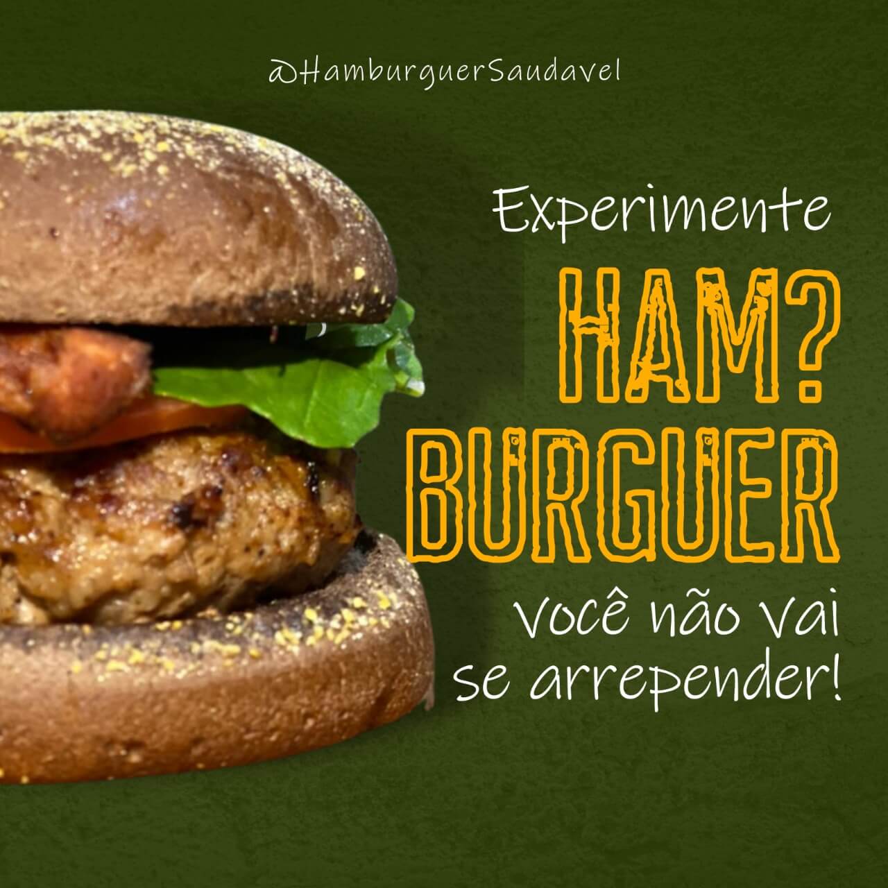 HAMburguer portifólio (1)