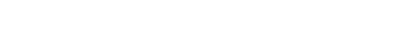 BorgWarner_logo 2