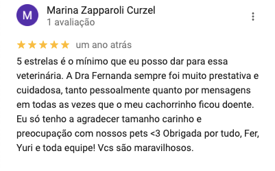 Depoimento 28