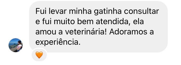 Depoimento 52