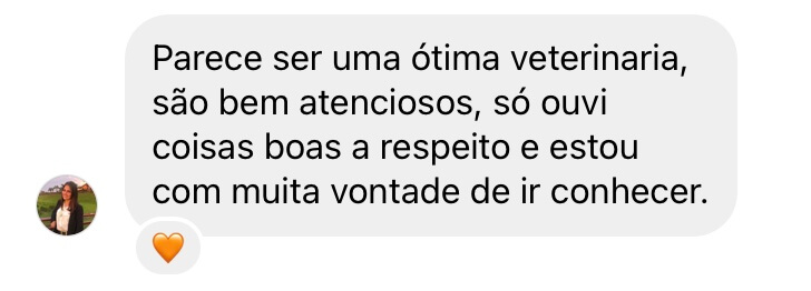 Depoimento 61