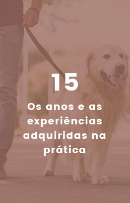 Banners_0000_Camada 10