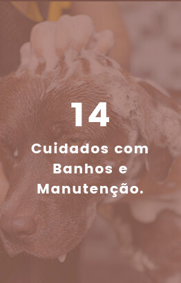 Banners_0001_Camada 9