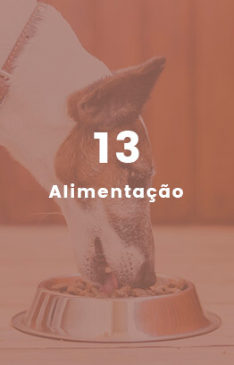 Banners_0002_Camada 8