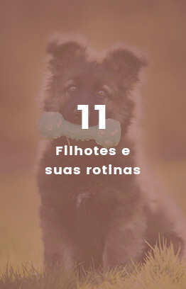 Banners_0004_Camada 6