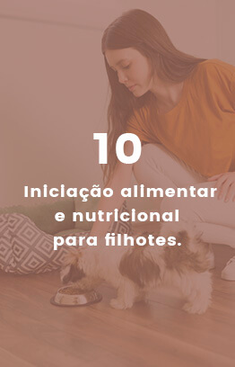 Banners_0005_Camada 5