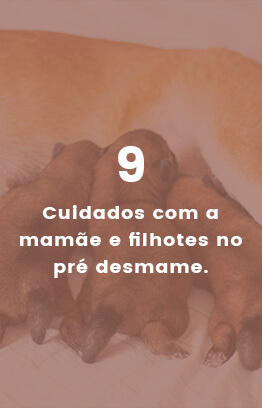 Banners_0006_Camada 4