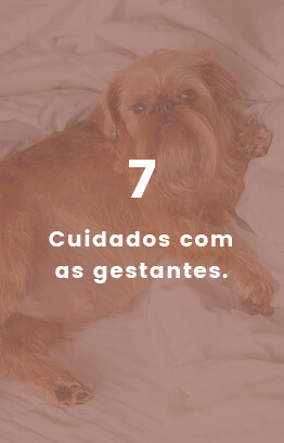 Banners_0008_Camada 2